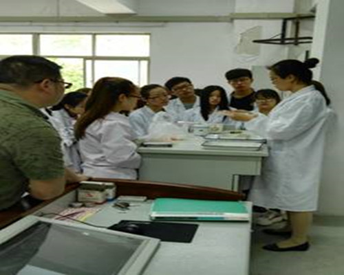 吕兴萍老师举行系部公开课