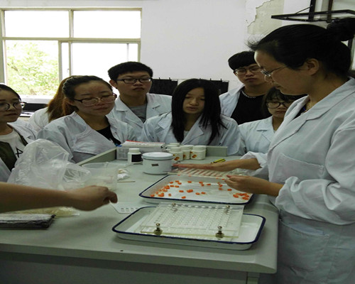 吕兴萍老师举行系部公开课