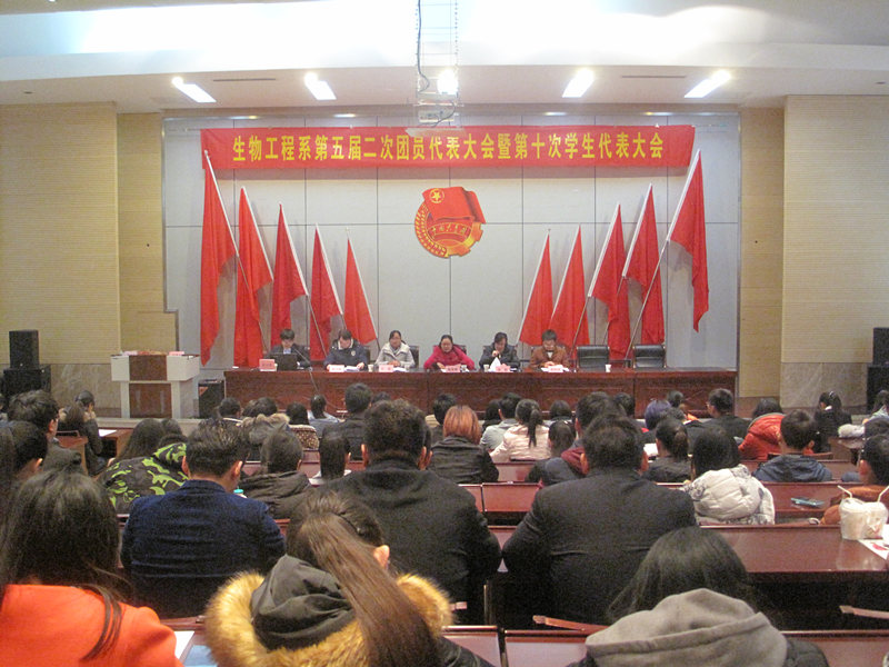 我系召开第五届二次团员代表大会暨第十次学生代表大会